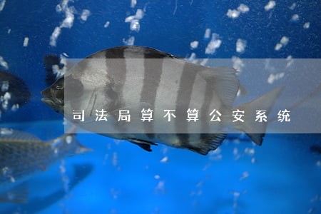 司法局算不算公安系统 司法局算不算公安系统