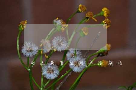 司法局管信用卡逾期吗 司法局管信用卡逾期吗