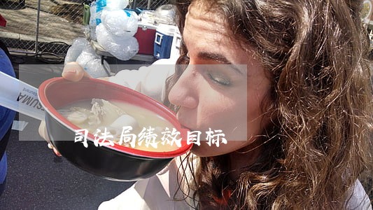 司法局绩效目标
