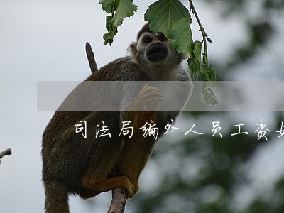司法局编外人员工资如何 司法局编外人员工资如何