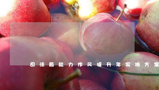 司法局能力作风提升年实施方案 司法局能力作风提升年实施方案