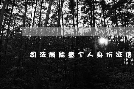 司法局能查个人身份证信息吗 司法局能查个人身份证信息吗