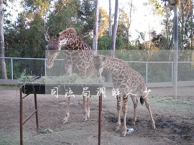 司法局调解人少 司法局调解人少