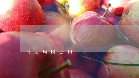 司法局财会岗 司法局财会岗