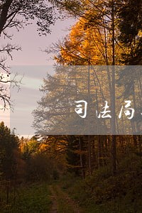 司法局通过法院多久出结果 司法局通过法院多久出结果