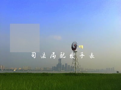 司法局配发手表 司法局配发手表