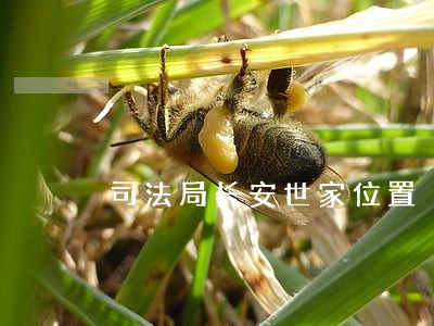 司法局长安世家位置 司法局长安世家位置