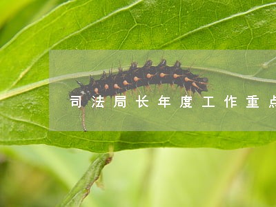 司法局长年度工作重点汇报材料 司法局长年度工作重点汇报材料