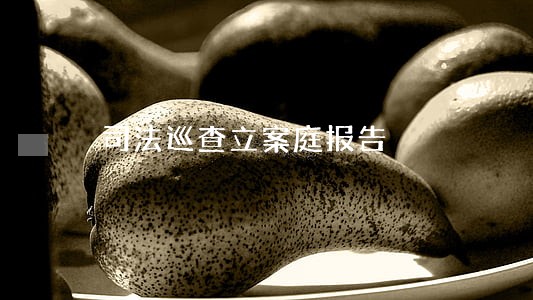 司法巡查立案庭报告 司法巡查立案庭报告