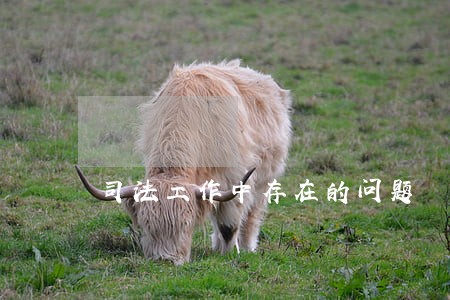 司法工作中存在的问题 司法工作中存在的问题
