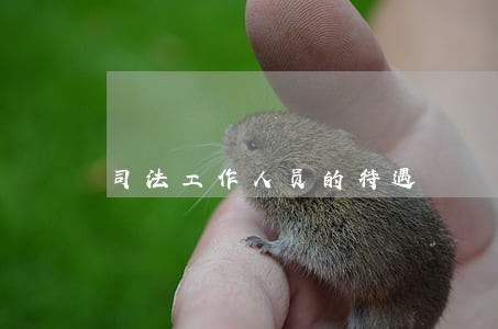 司法工作人员的待遇 司法工作人员的待遇