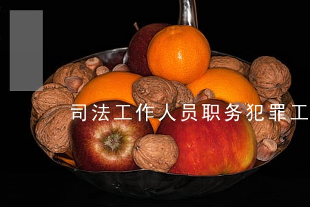 司法工作人员职务犯罪工作 司法工作人员职务犯罪工作