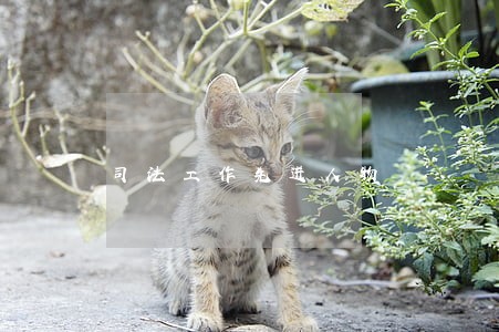 司法工作先进人物