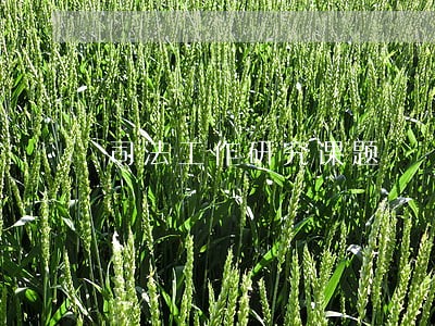 司法工作研究课题 司法工作研究课题