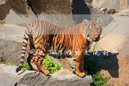 司法工作经验交流材料 司法工作经验交流材料