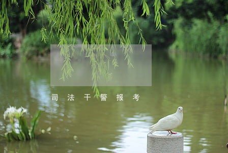 司法干警报考 司法干警报考