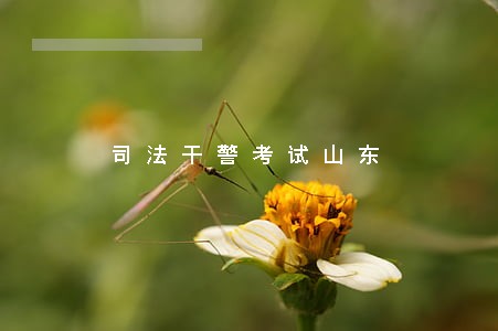 司法干警考试山东