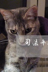 司法年终工作总结怎么写 司法年终工作总结怎么写