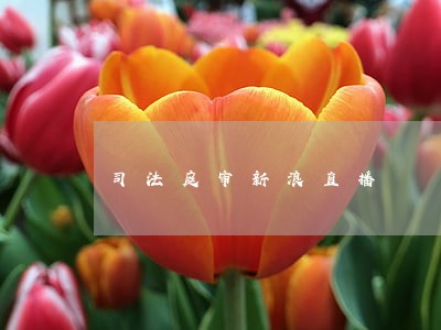 司法庭审新浪直播 司法庭审新浪直播