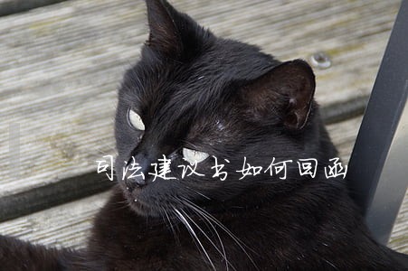 司法建议书如何回函 司法建议书如何回函
