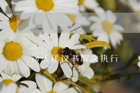 司法建议书解决执行 司法建议书解决执行