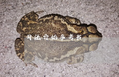 司法开始参考书