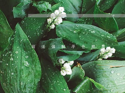 司法强制平仓股票 司法强制平仓股票