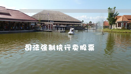司法强制执行卖股票 司法强制执行卖股票