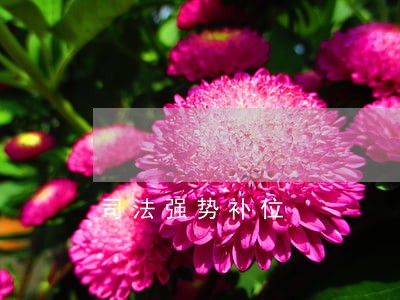 司法强势补位 司法强势补位