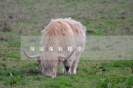 司法强拆程序
