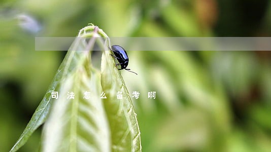 司法怎么备考啊 司法怎么备考啊