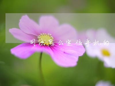 司法怎么定位手机的 司法怎么定位手机的