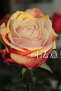 司法意见书还需要做公证吗 司法意见书还需要做公证吗
