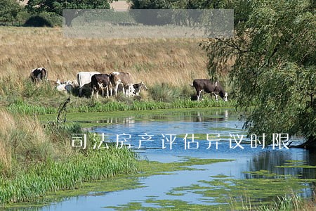 司法房产评估异议时限