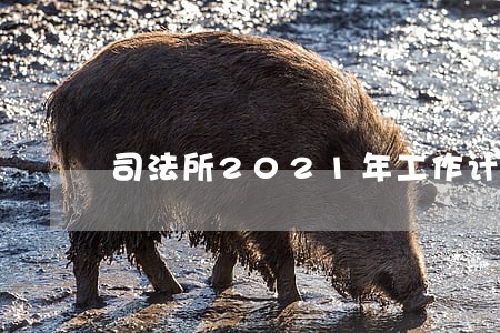 司法所2021年工作计划例文 司法所2021年工作计划例文