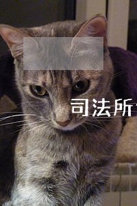 司法所专职人民调解员没编制 司法所专职人民调解员没编制