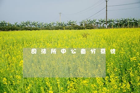 司法所中公查分系统