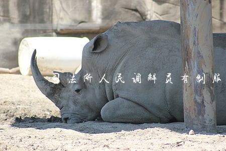 司法所人民调解员有制服吗