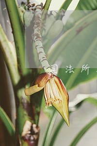 司法所从事基层一线执法工作 司法所从事基层一线执法工作