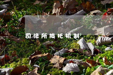 司法所依托机制 司法所依托机制