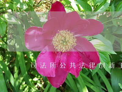 司法所公共法律创新工作思路
