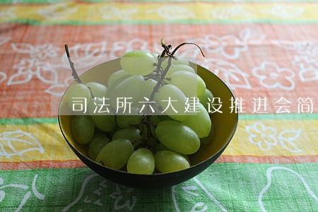 司法所六大建设推进会简报