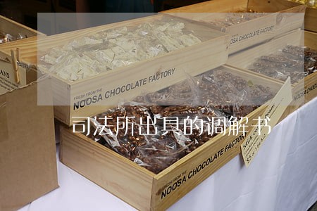 司法所出具的调解书 司法所出具的调解书