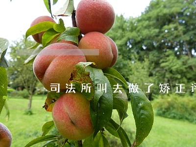 司法所叫去做了矫正评估 司法所叫去做了矫正评估