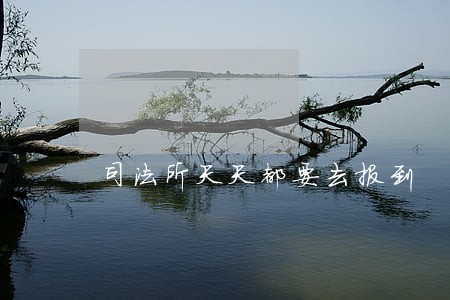 司法所天天都要去报到 司法所天天都要去报到