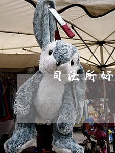司法所好考吗 司法所好考吗