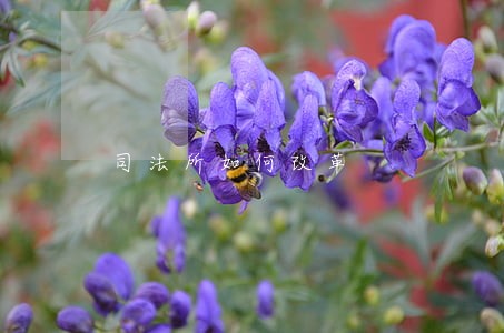 司法所如何改革 司法所如何改革