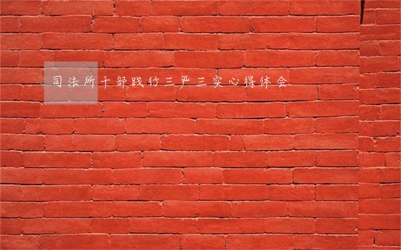 司法所干部践行三严三实心得体会 司法所干部践行三严三实心得体会