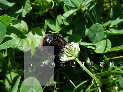 司法所忘记打电话检讨 司法所忘记打电话检讨