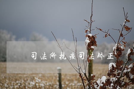 司法所抗疫司法矫正